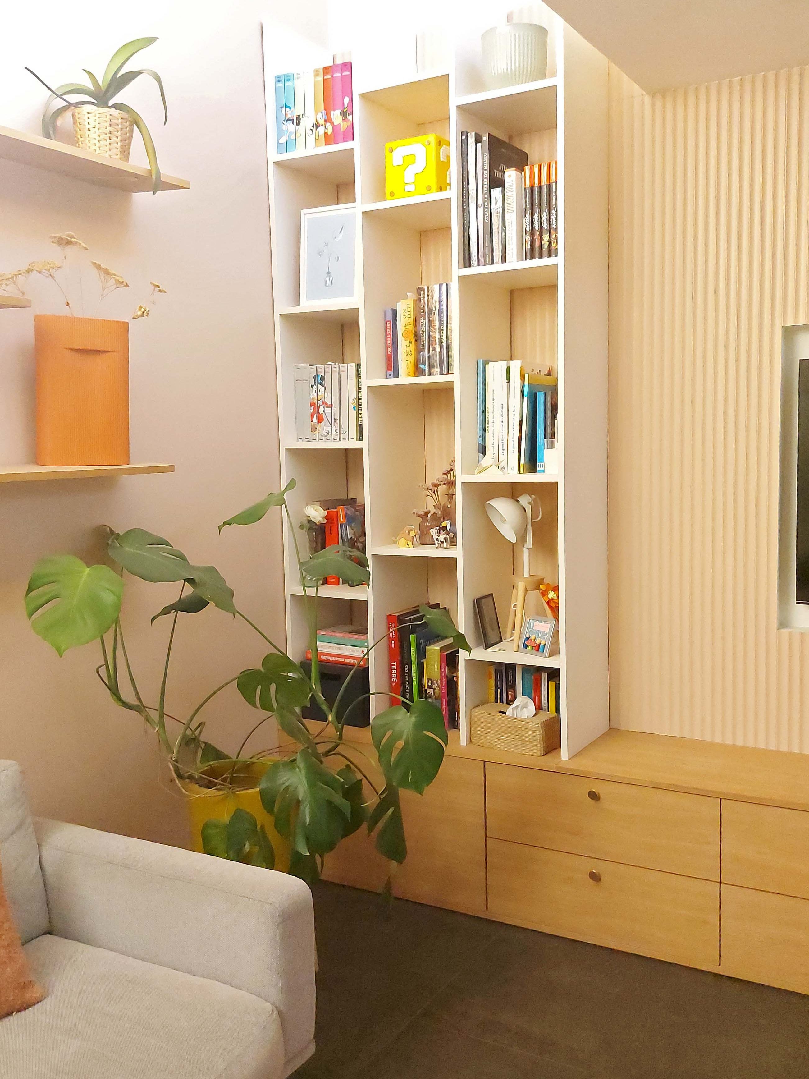 Une étagère moderne remplie de livres, avec une plante verte en pot à côté, et un canapé gris au premier plan.